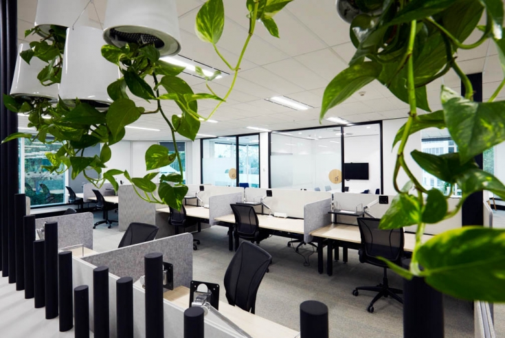 Activated Wellbeing Workplace – IA Design Activated Wellbeing Workplace - IA Design